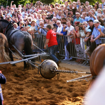 Der Halbkugelversuch