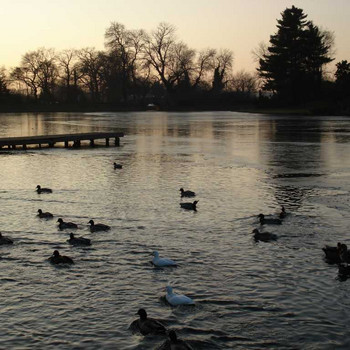 Der See am Wörlitzer Park