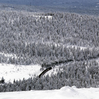 Der Brocken in weiß