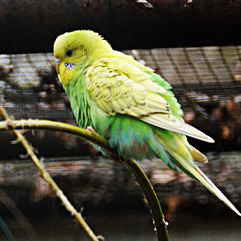 Tierpark Weißewarte