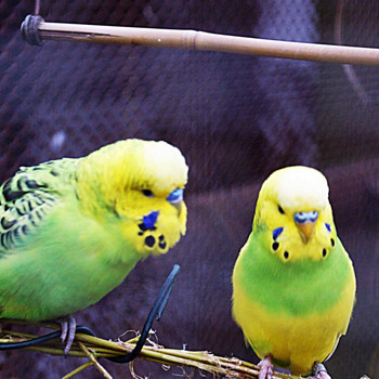 Tierpark Weißewarte