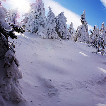 Der Brocken in weiß