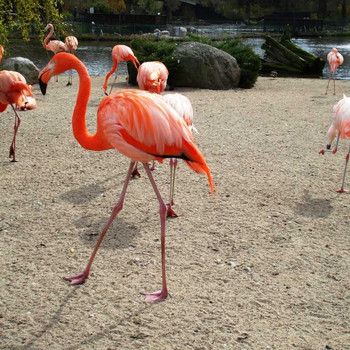 Der Zoologische Garten