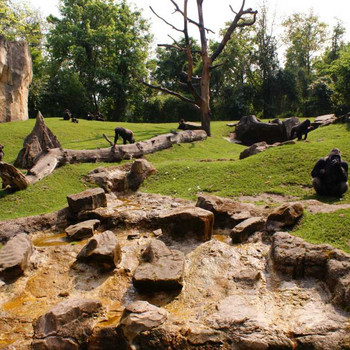 Der Hannover Zoo Teil 2