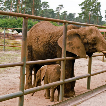 Serengeti - Park