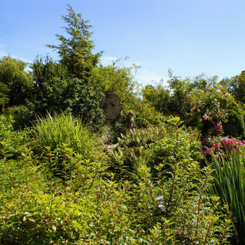 Die Landschaft des Rosariums