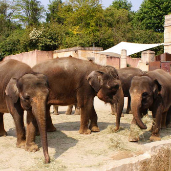 Der Hannover Zoo Teil 3