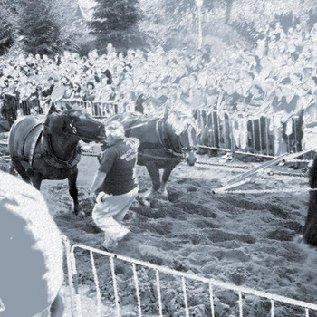 Der Halbkugelversuch