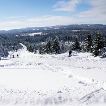 Der Brocken in weiß