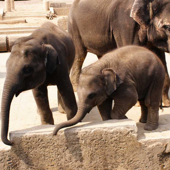 Der Hannover Zoo Teil 3