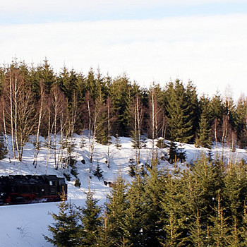 Der Brocken in weiß