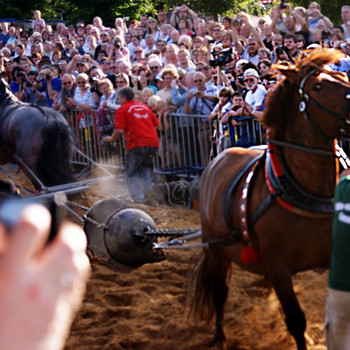 Der Halbkugelversuch