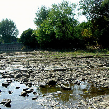 Niedrigwasser in Magdeburg