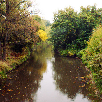 Magdeburger Stadtpark