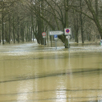 Hochwasser in Magdeburg