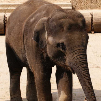 Der Hannover Zoo Teil 3