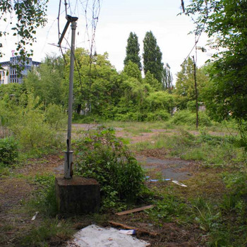 Der Kristall - Palast
