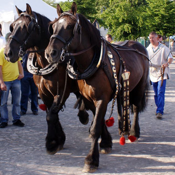 Der Halbkugelversuch