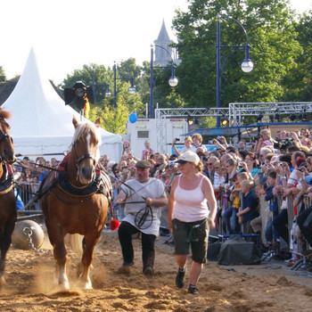 Der Halbkugelversuch